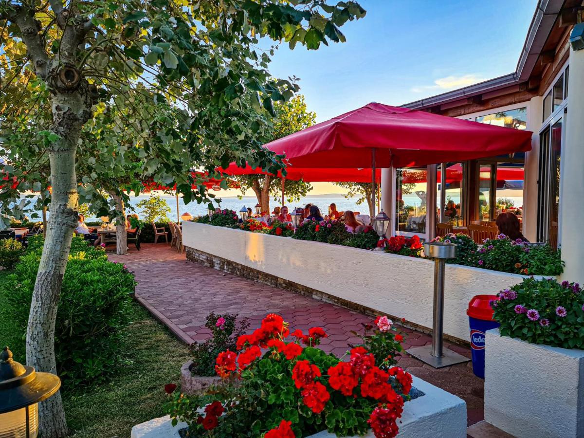 Pension Villa Rosa Ртина Экстерьер фото